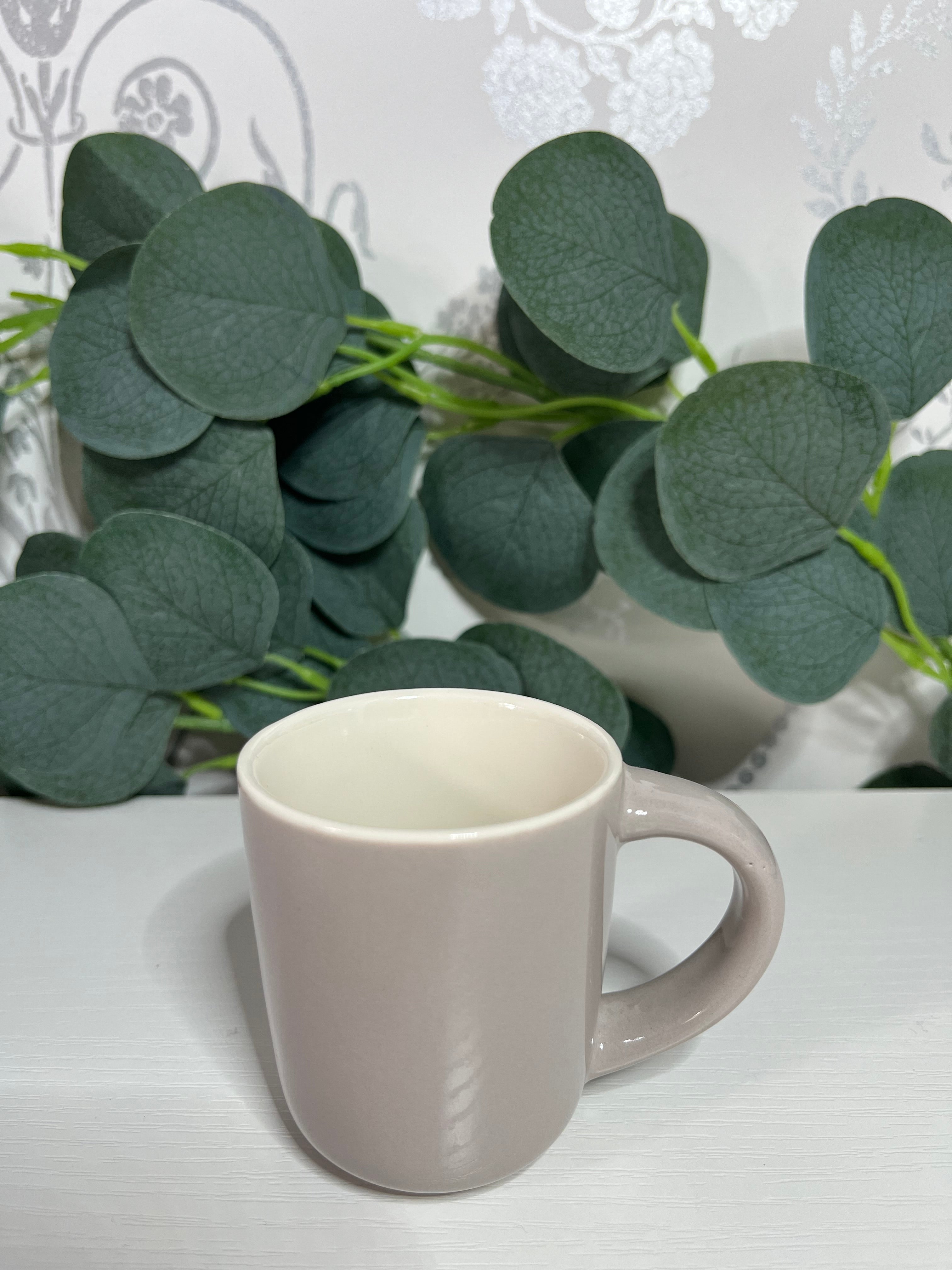 Espresso Shot Mugs
